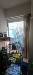 Kembangan Plaza (D14), Apartment #595581371